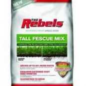 86592 20LB REBELS GRSS SEED MIX