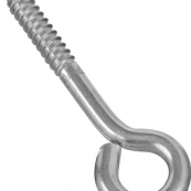 220-806 3/8X4-1/2 LAGSCR EYE SS