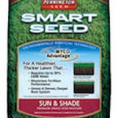 86843 7LB SUN & SHADE MIX SEED