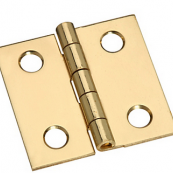 211-334 HINGE POL BRS 1X1       