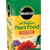 10123 5LB.ALLPRUPOSE MIRACLE GRO
