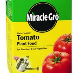 200042 1.5LB.MIRACLE-GRO TOMATO