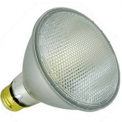 50W/PAR30 LONGNECK HALOGEN FLOOD
LO